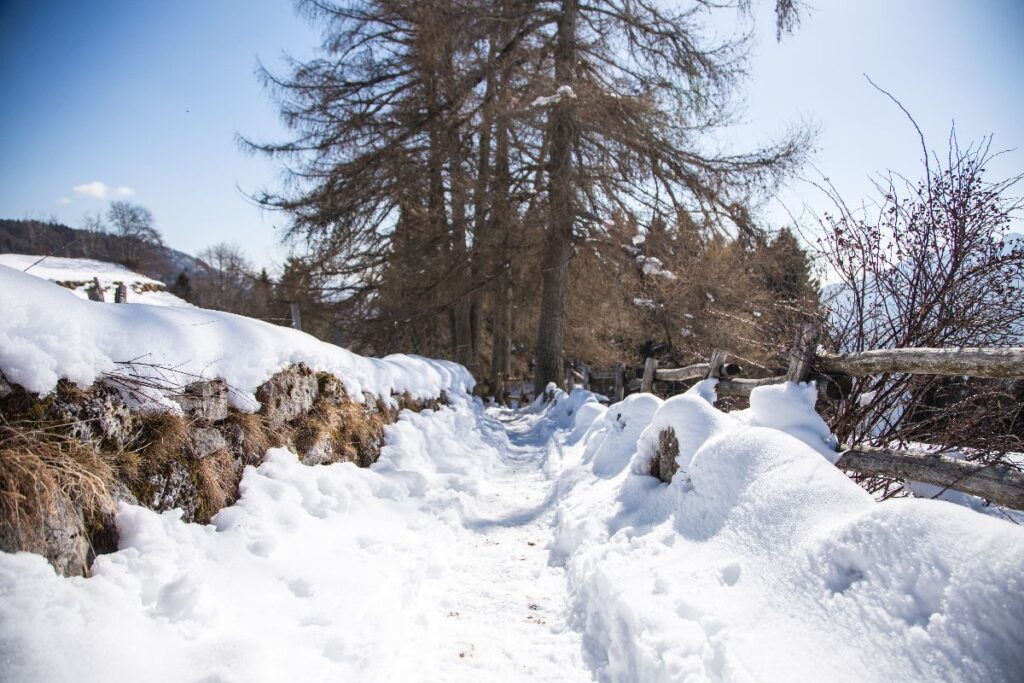Trekking sui Sentieri dei Cimbri a Lavarone (affiliazione)