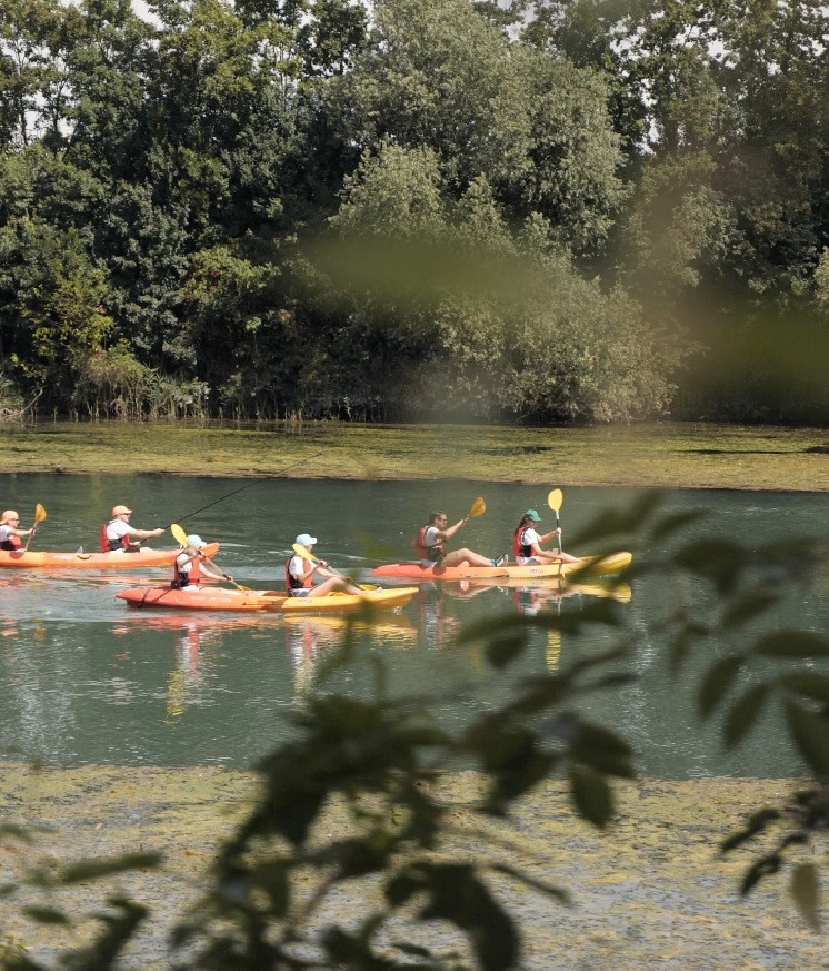 Kayak e bici sul Sile tra ville e cicchetti (Affiliazione)