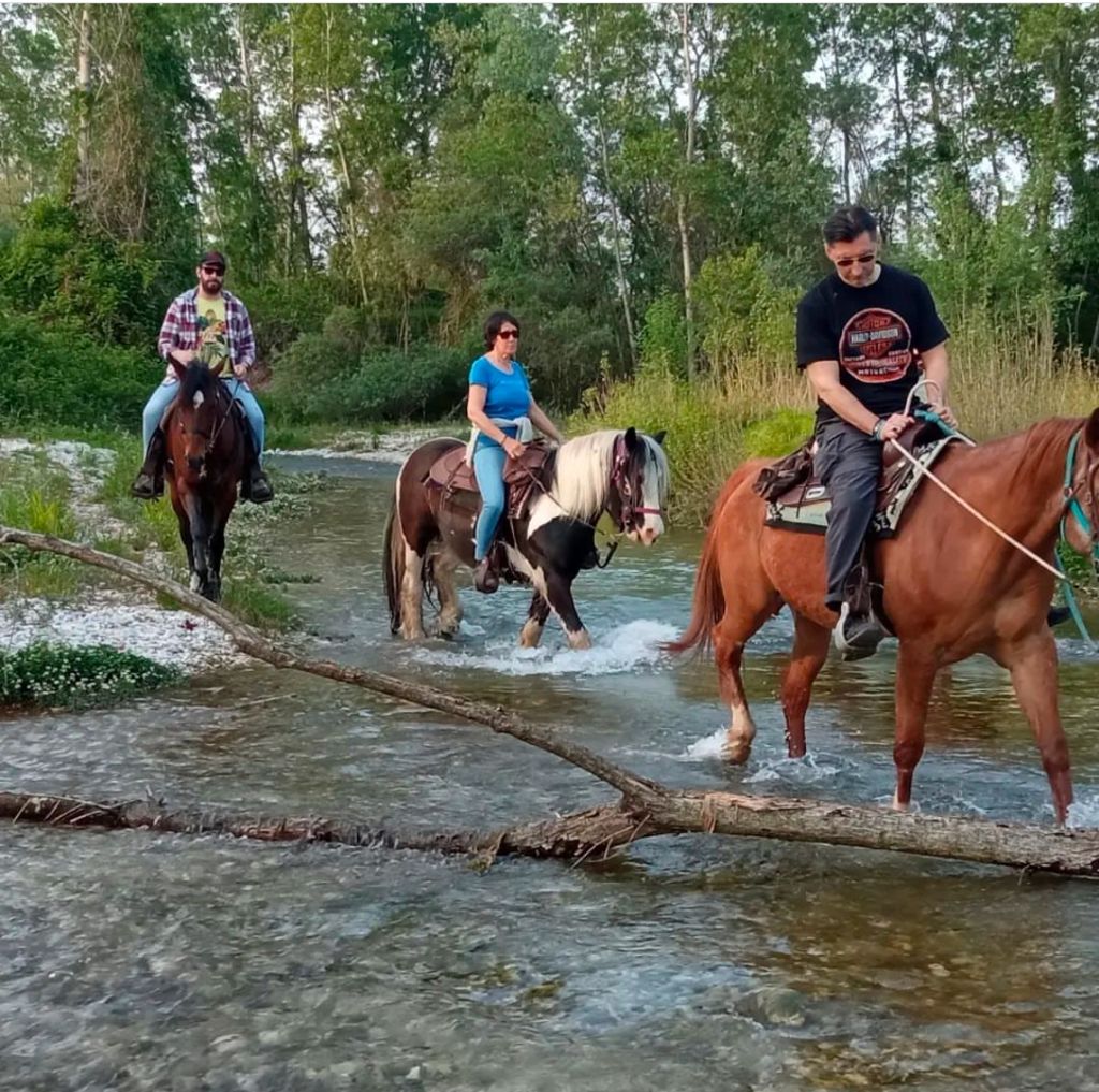 Passeggiata a cavallo tra le sorgenti naturali del Brenta