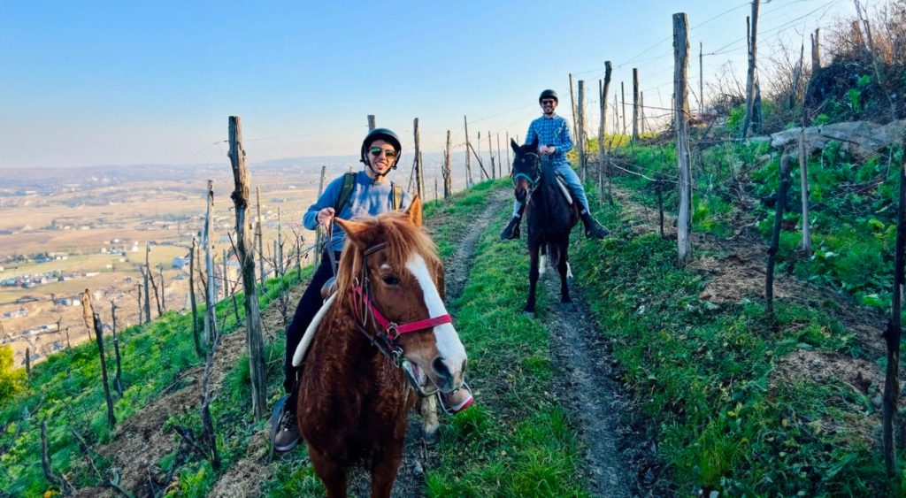 Questa immagine ha l'attributo alt vuoto; il nome del file è CAVALLO-COLLINE-PROSECCO-1-edited-1024x1024-ai-1024x563-1.jpg