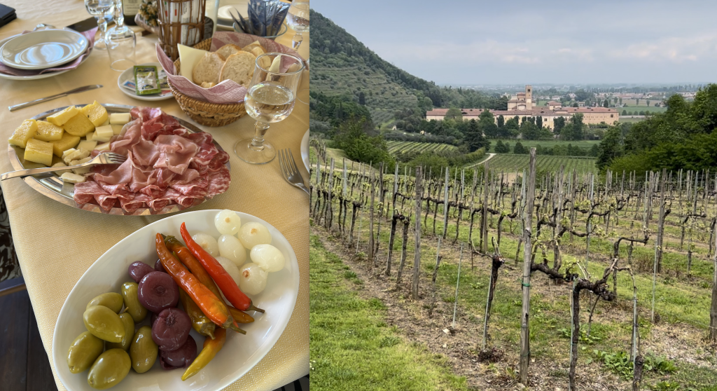 Passeggiata sui Colli Euganei (PD) con Visita all'Abbazia e pranzo