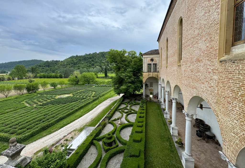Passeggiata sui Colli Euganei (PD) con Visita all'Abbazia e pranzo