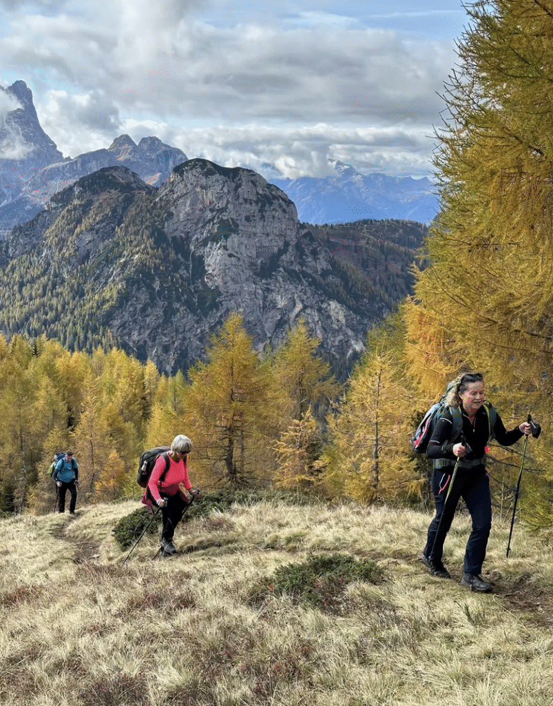 Trekking tra i Colori dell'Autunno: I Larici del Pelmo (Affiliazione)