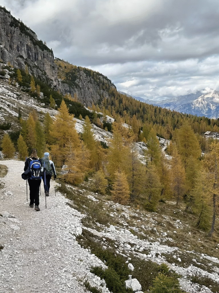 Trekking tra i Colori dell'Autunno: I Larici del Pelmo (Affiliazione)