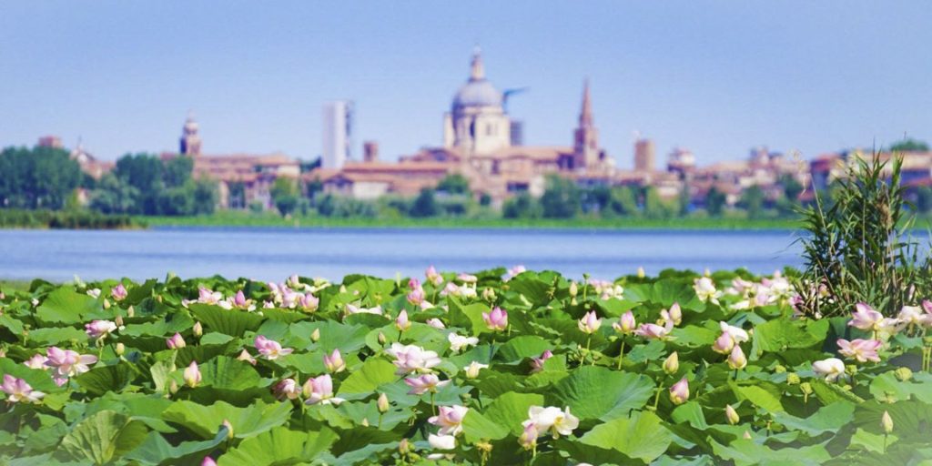 Tour in bici e in barca a Mantova tra i fiori di loto