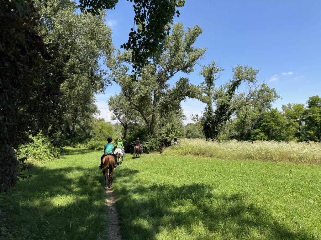 Giornata da sogno al Lago Paradisiaco del Veneto III Edizione