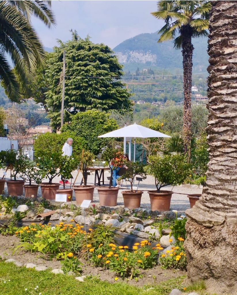 Valle delle Cartiere con laboratorio, pranzo e passeggiata