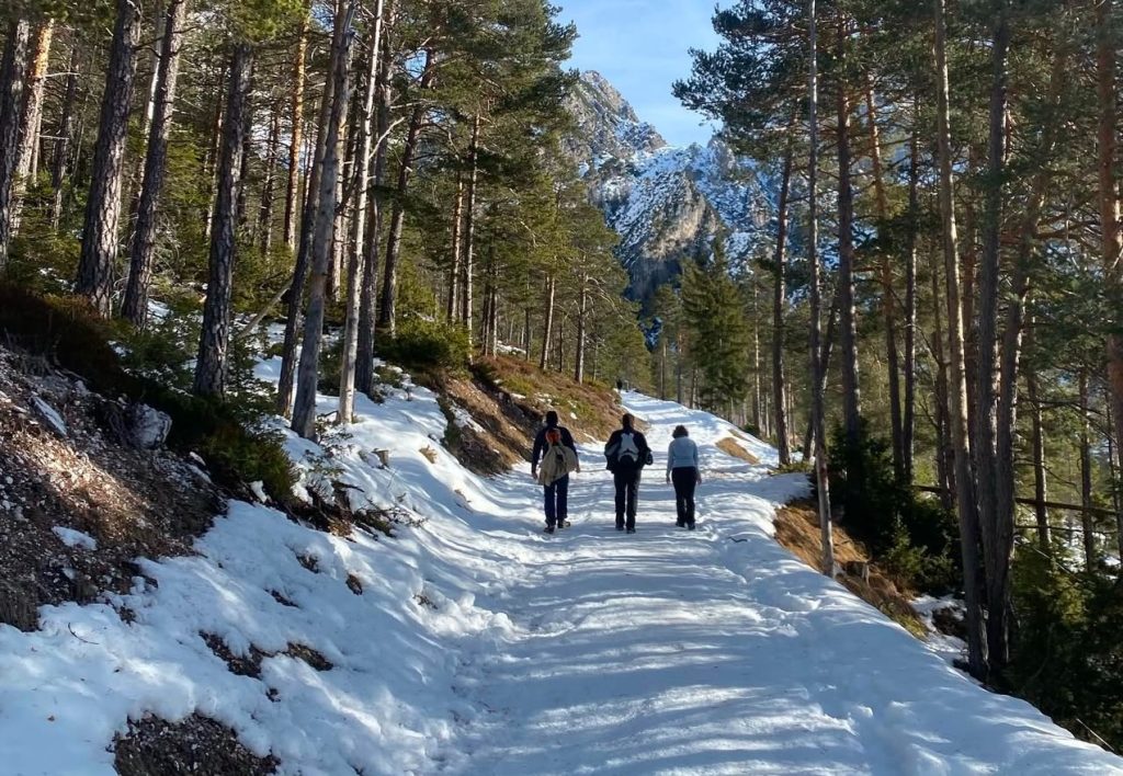 Ritrovo gratuito con passeggiata e pranzo in rifugio