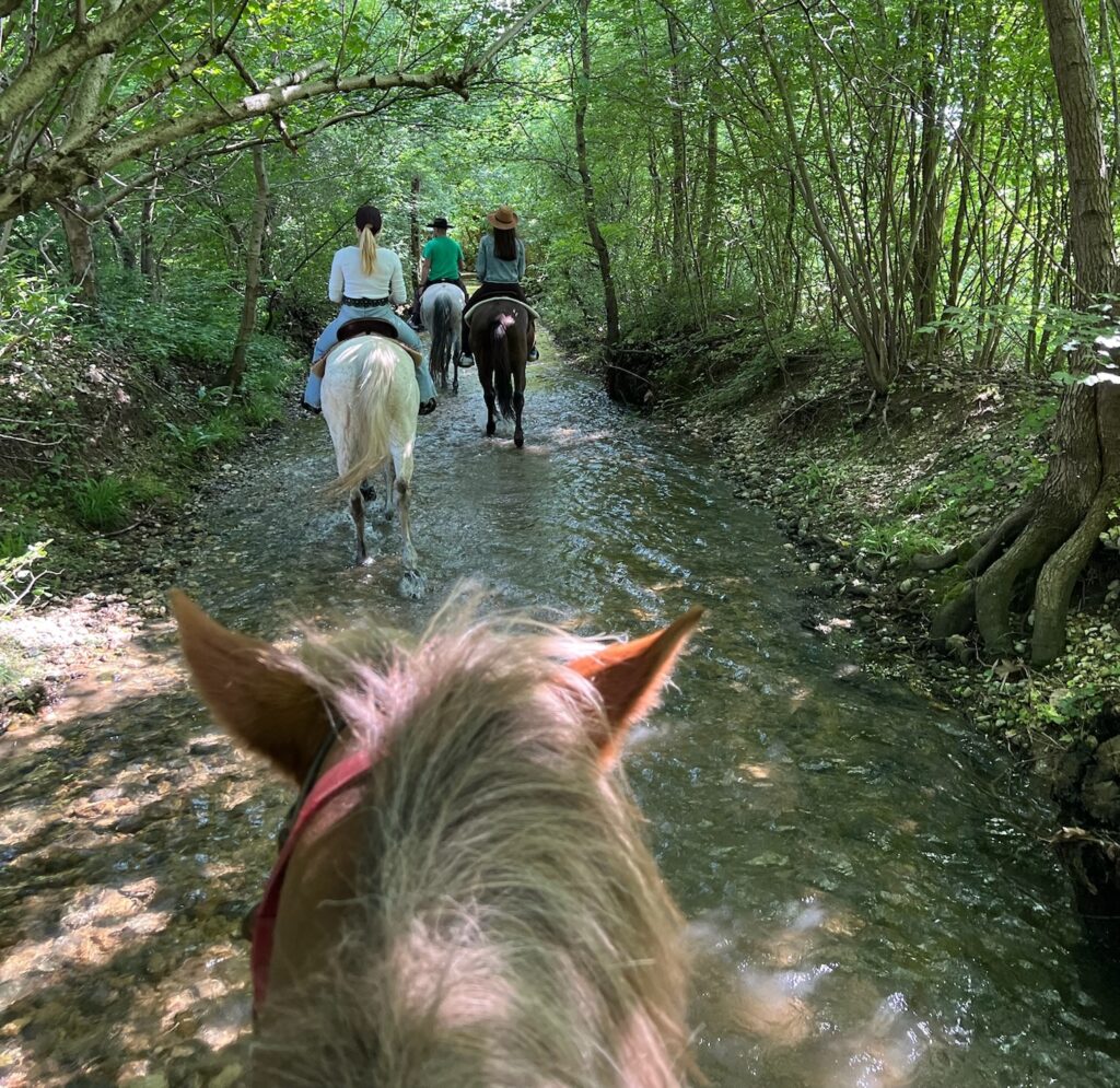 Trekking tra le rive del Piave: un weekend tra cavalli, yoga e natura