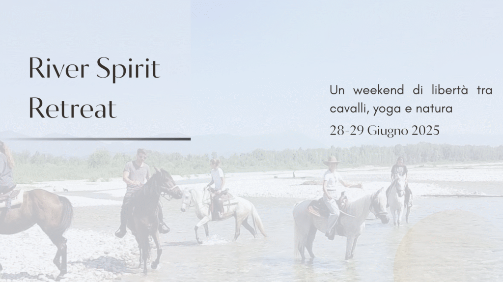 Trekking tra le rive del Piave: un weekend tra cavalli, yoga e natura