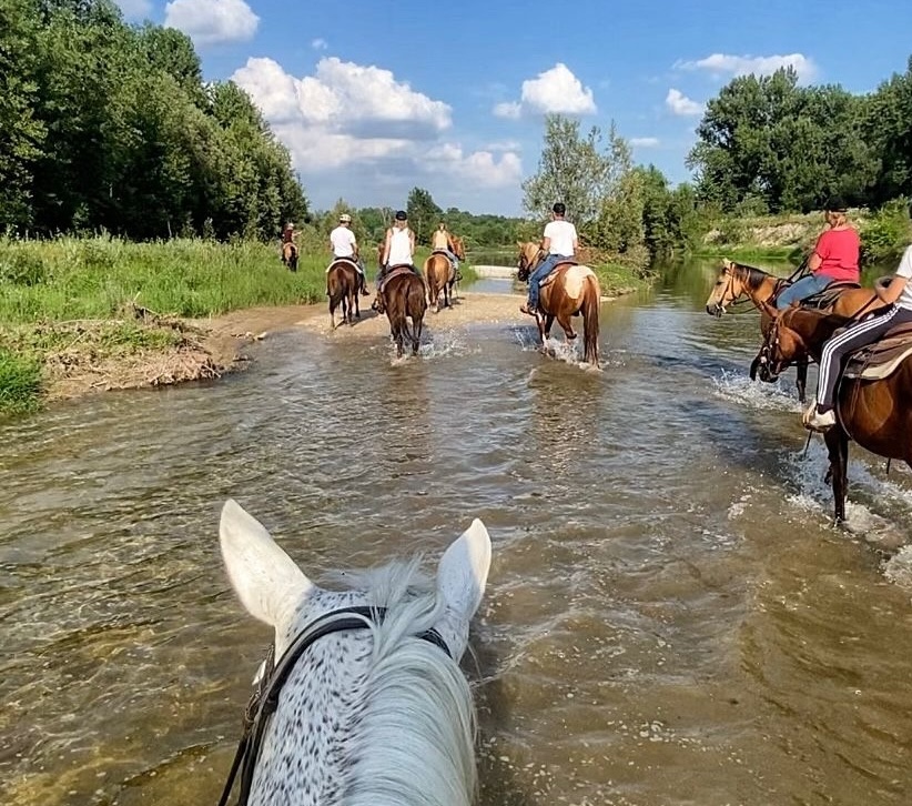 Passeggiata a cavallo tra le sorgenti naturali del Brenta
