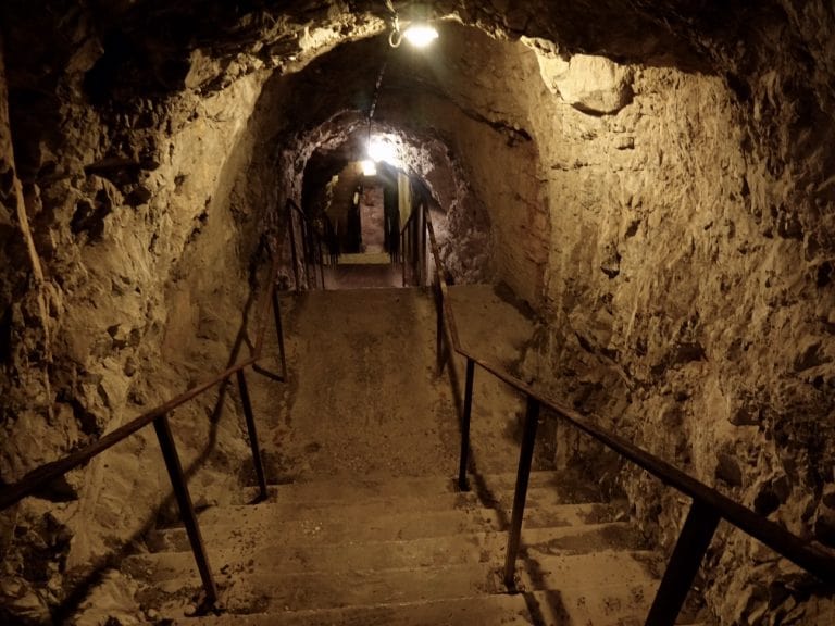 Cercando Fossili in un Sito di Importanza Mondiale Verona