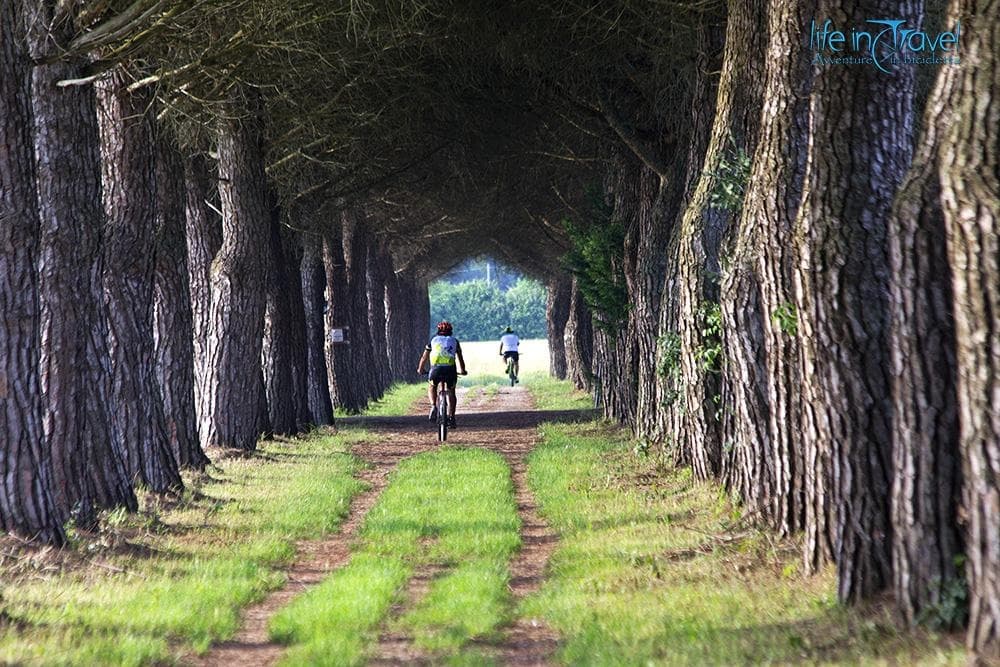 Pedala Scoprendo e Brindando - Social Ride B2O (affiliazione)