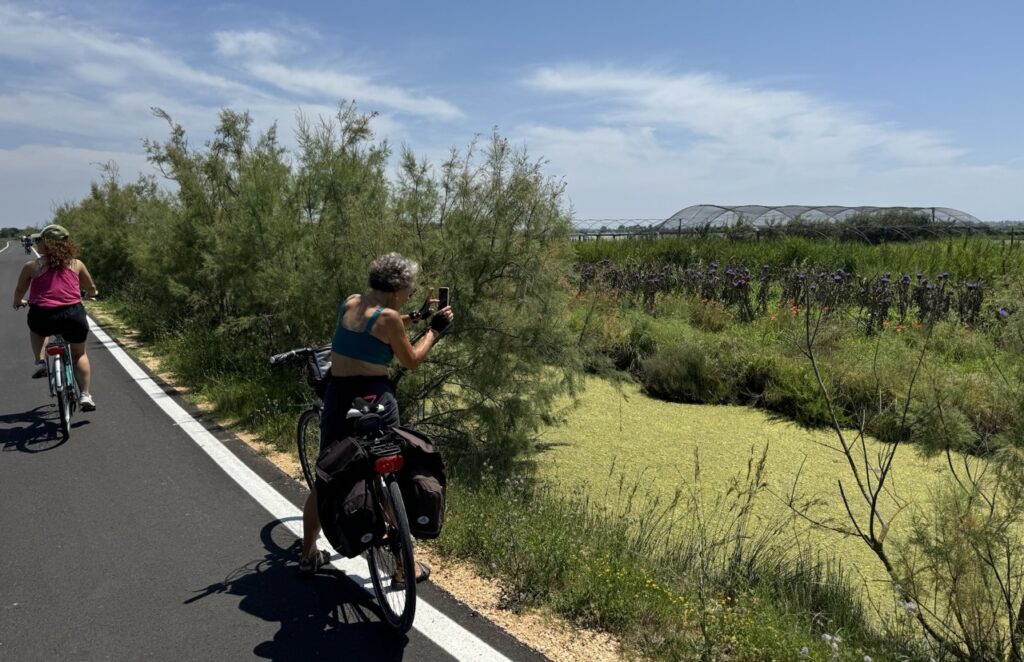 Lio Piccolo e i Sapori della Laguna: Biciclettata e Pranzo tipico
