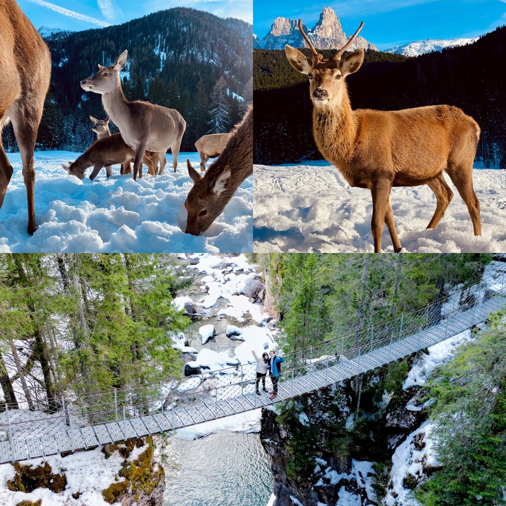Passeggiata di Gruppo a San Martino di Castrozza