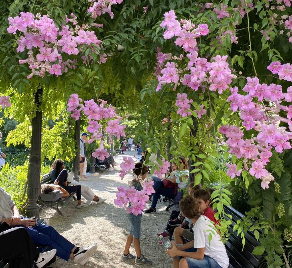 Vicenza in One Day: Palladio, the Olympic Theatre, Querini Park and Monte Berico