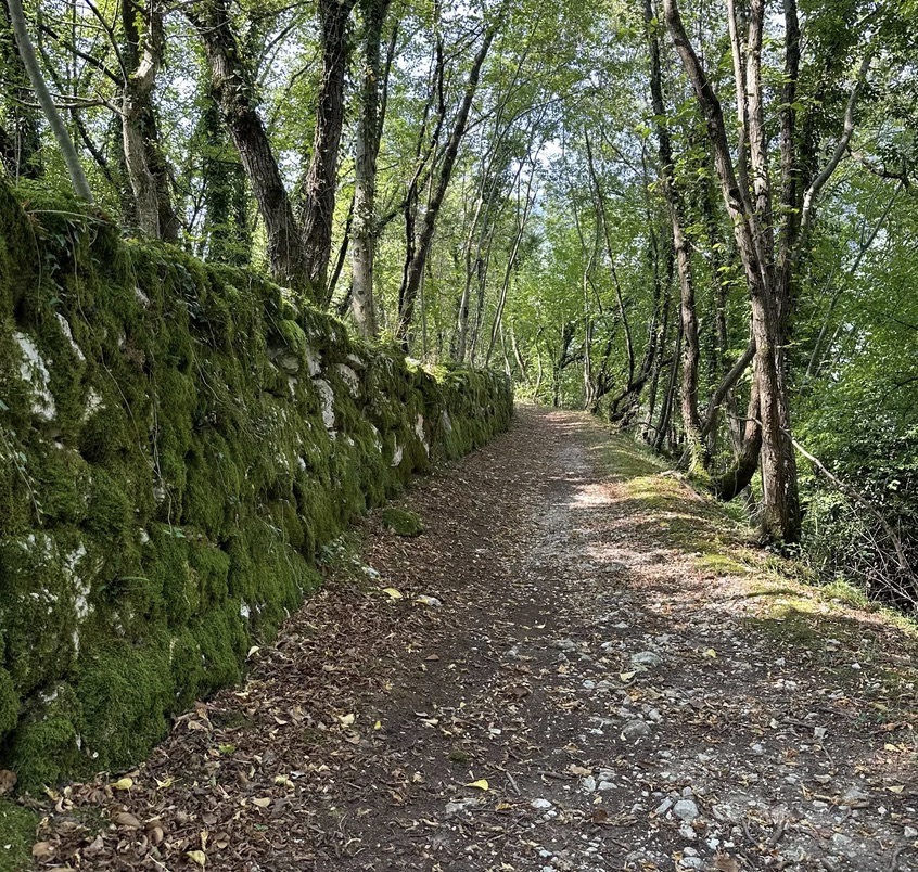 Autunno sull'Alta Via del Tabacco: Trekking, Castagne e Vino Novello(Affiliazione)