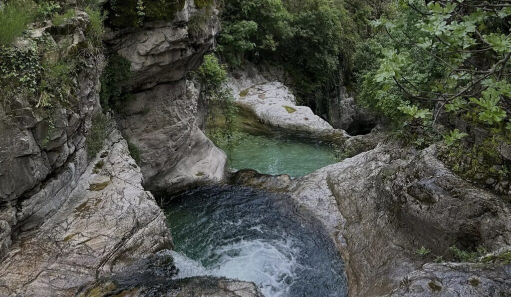 Autunno sull'Alta Via del Tabacco: Trekking, Castagne e Vino Novello(Affiliazione)