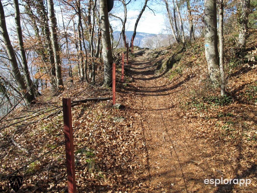 Sospesi sul vuoto: Una Giornata sul Monte di Mezzocorona