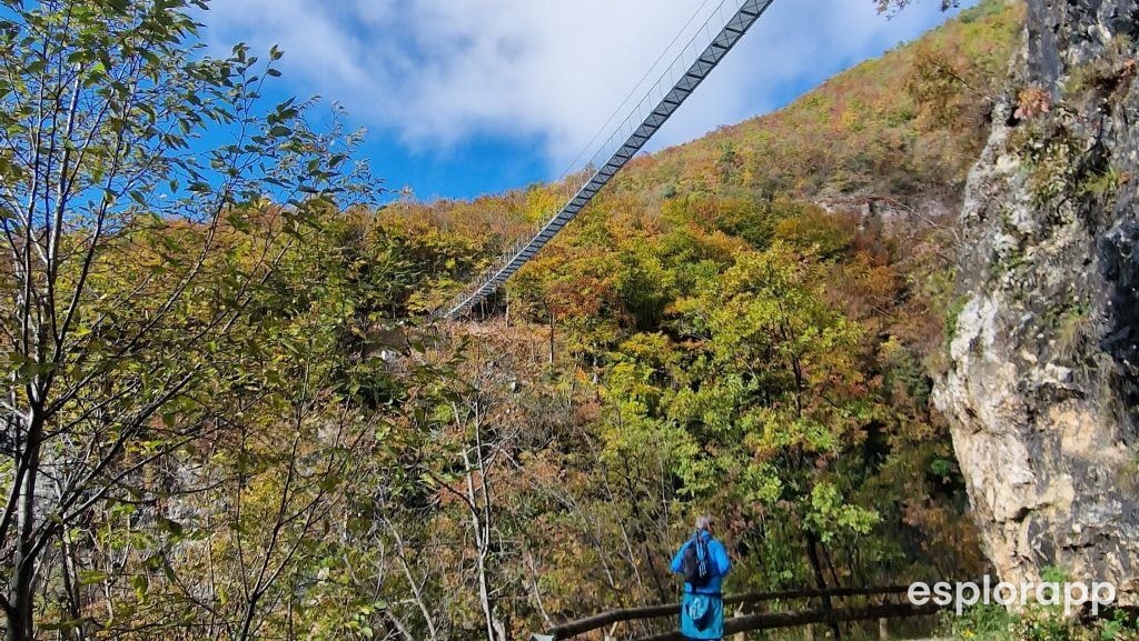 Sospesi sul vuoto: Una Giornata sul Monte di Mezzocorona
