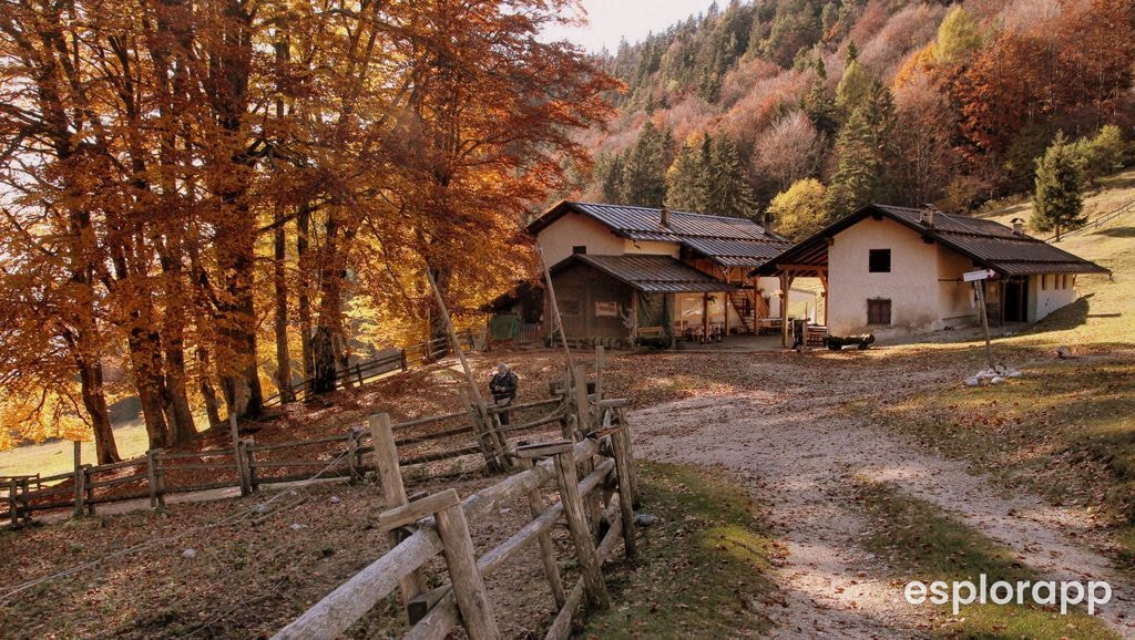 Sospesi sul vuoto: Una Giornata sul Monte di Mezzocorona